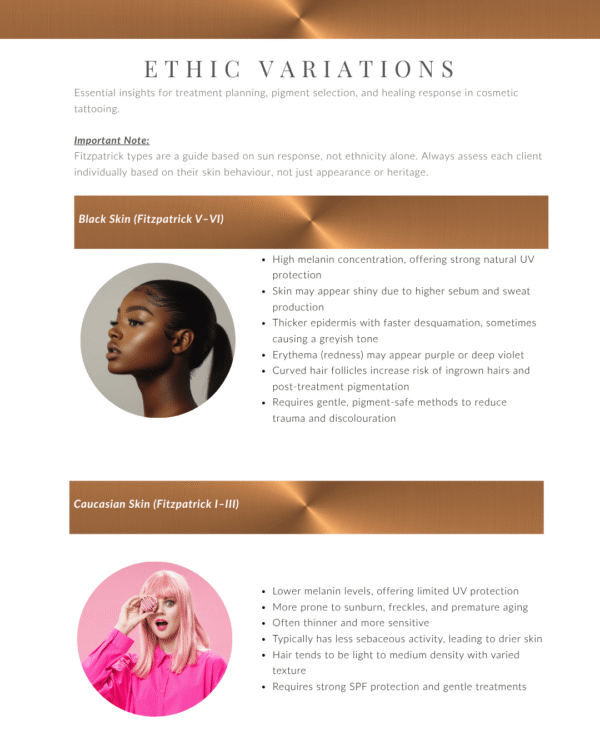 This is an image of the different skin types you will learn within the Nano Brow Training Manual