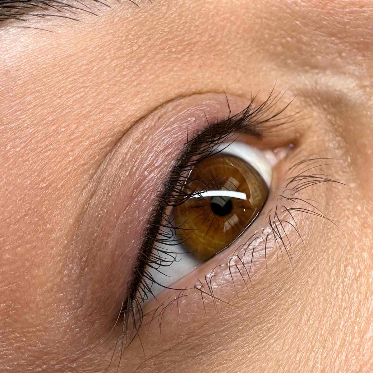 Online eyeliner cosmetic tattoo course