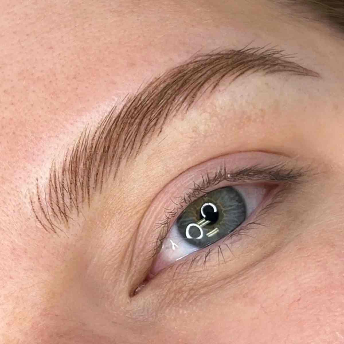 Nano brow course demonstration screenshot